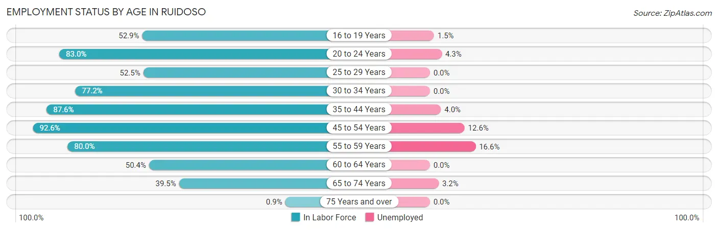 Employment Status by Age in Ruidoso