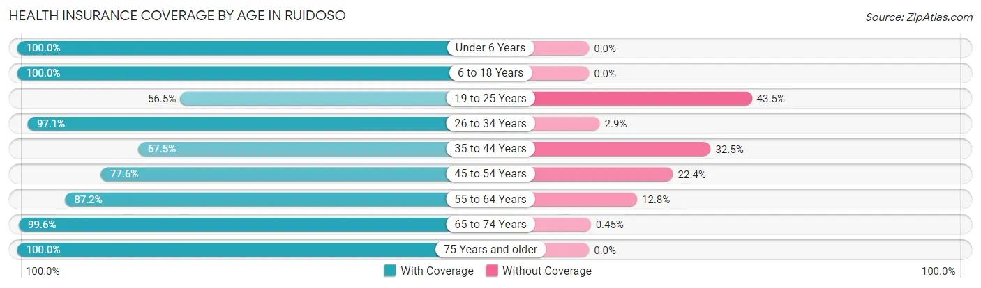 Health Insurance Coverage by Age in Ruidoso