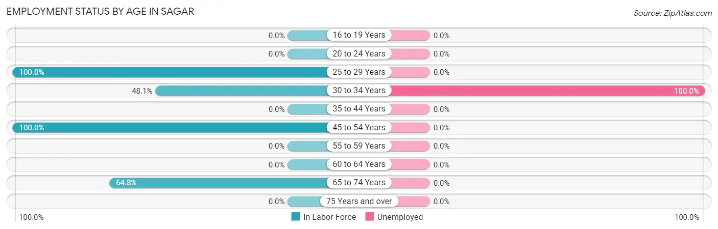 Employment Status by Age in Sagar