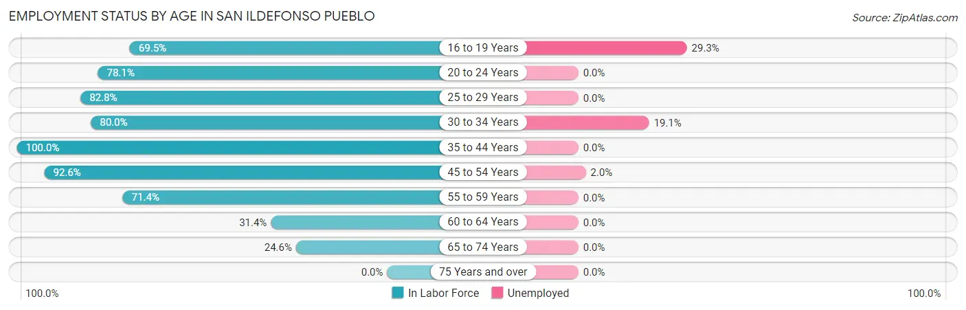 Employment Status by Age in San Ildefonso Pueblo