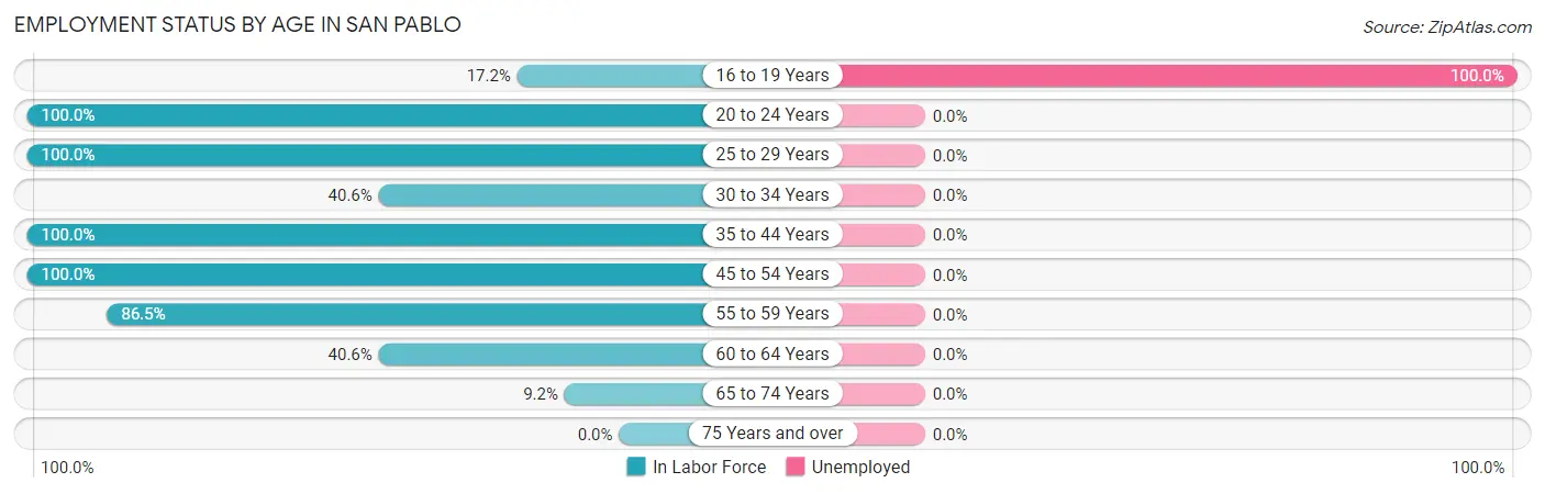 Employment Status by Age in San Pablo