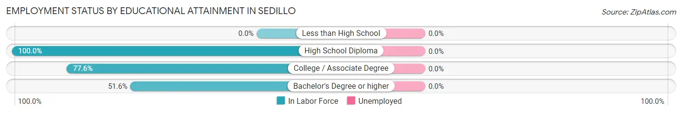 Employment Status by Educational Attainment in Sedillo