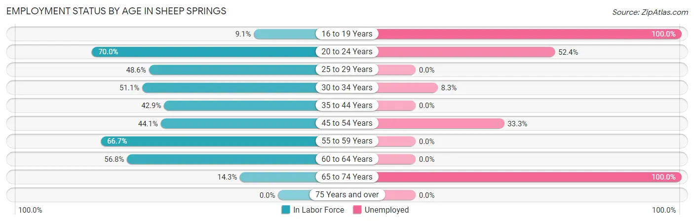 Employment Status by Age in Sheep Springs