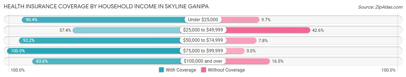 Health Insurance Coverage by Household Income in Skyline Ganipa