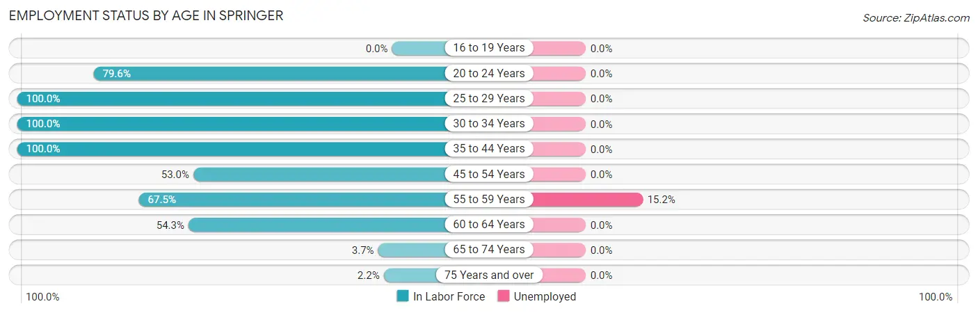 Employment Status by Age in Springer