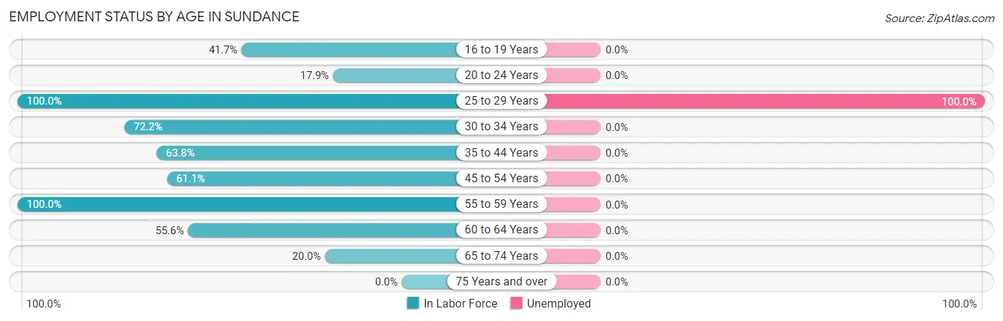 Employment Status by Age in Sundance