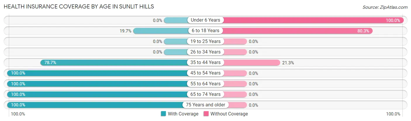 Health Insurance Coverage by Age in Sunlit Hills