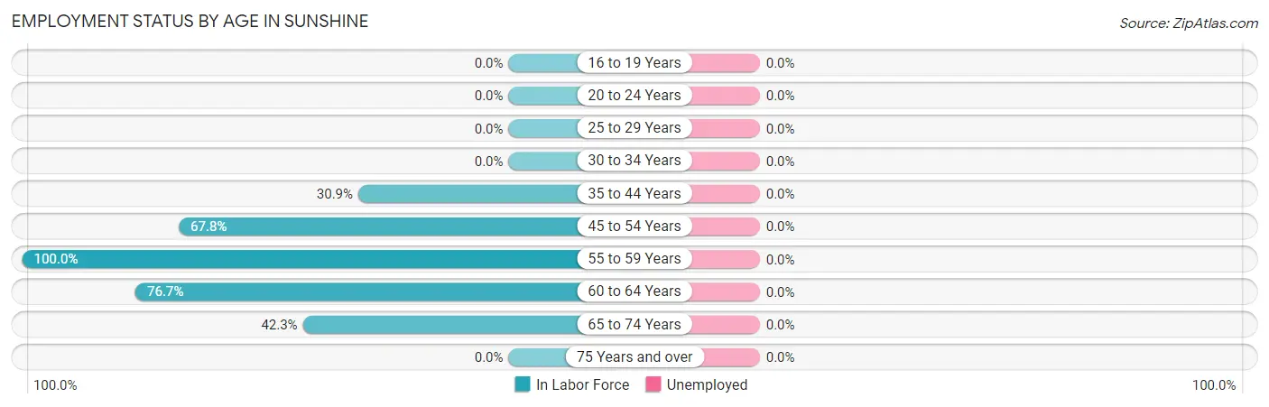 Employment Status by Age in Sunshine