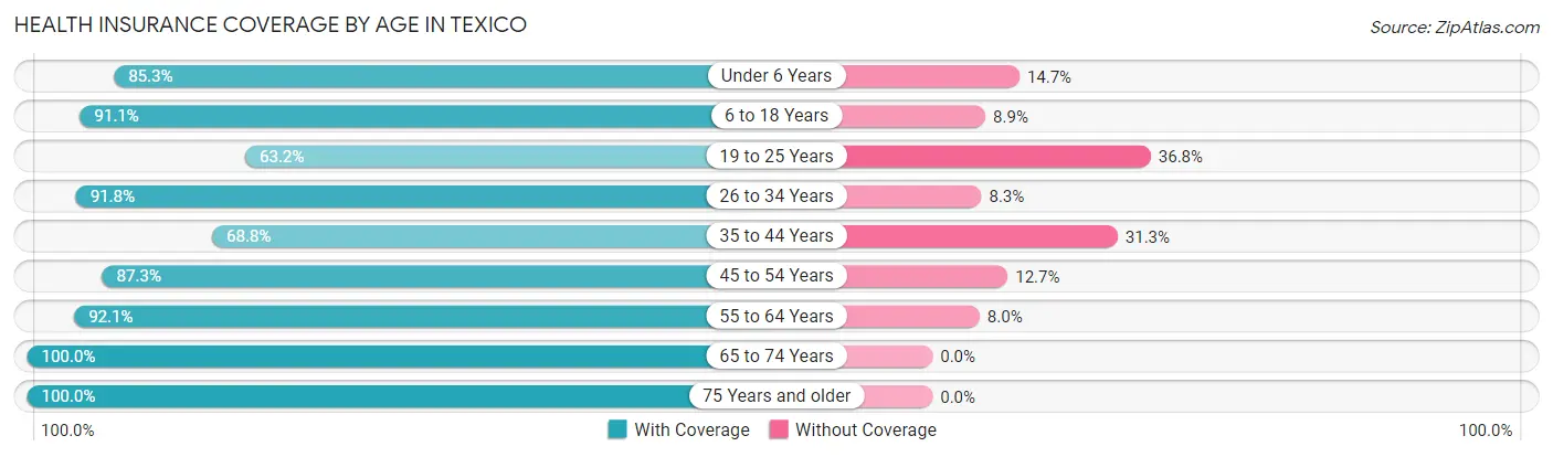 Health Insurance Coverage by Age in Texico