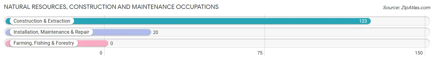 Natural Resources, Construction and Maintenance Occupations in Thoreau