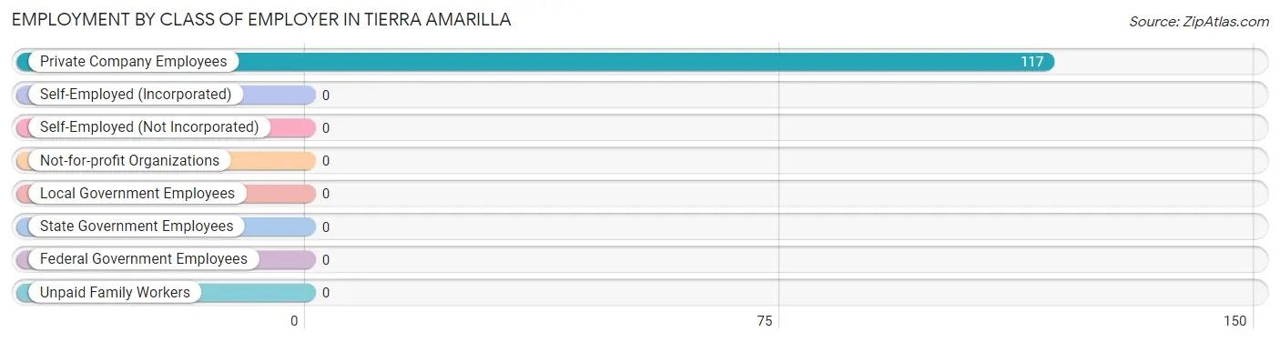 Employment by Class of Employer in Tierra Amarilla