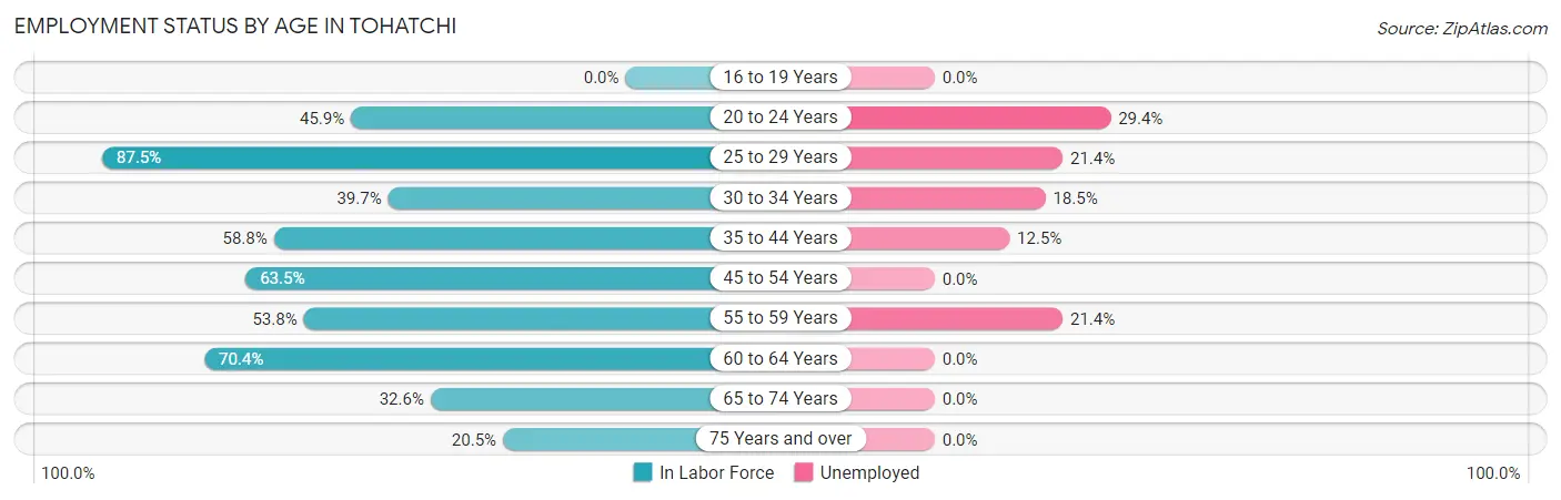 Employment Status by Age in Tohatchi