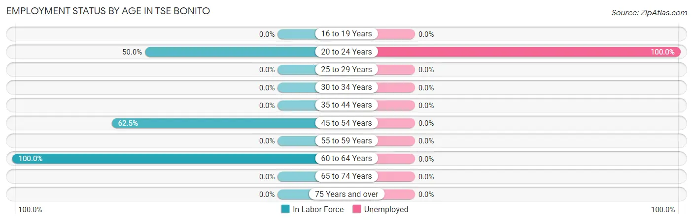 Employment Status by Age in Tse Bonito