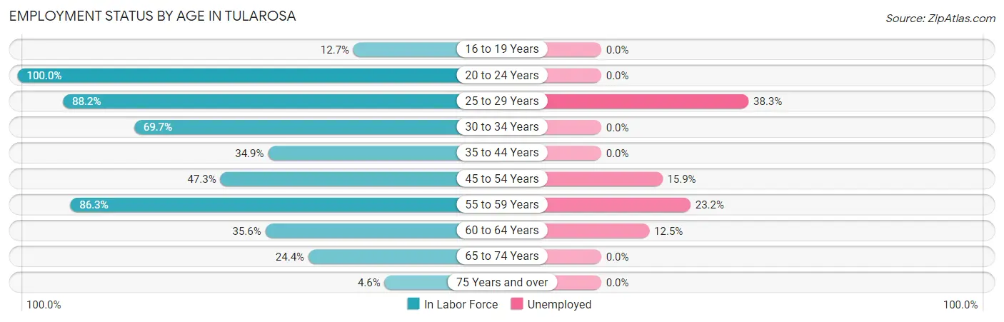 Employment Status by Age in Tularosa