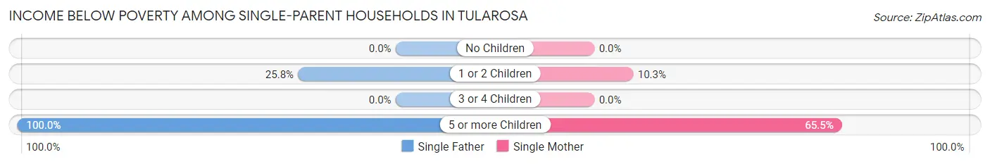 Income Below Poverty Among Single-Parent Households in Tularosa