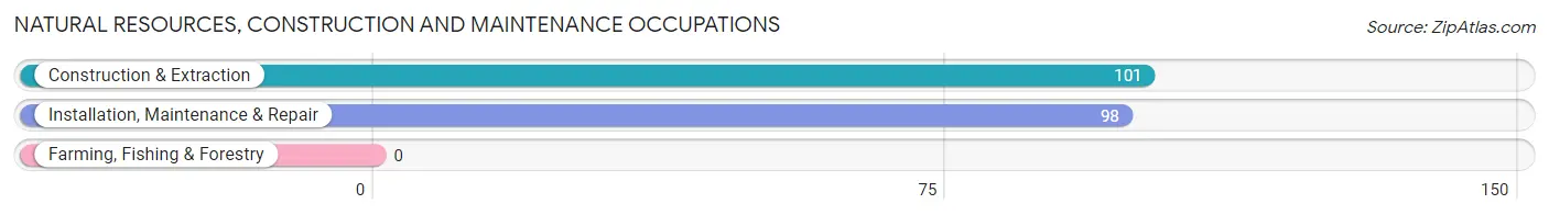 Natural Resources, Construction and Maintenance Occupations in Tularosa