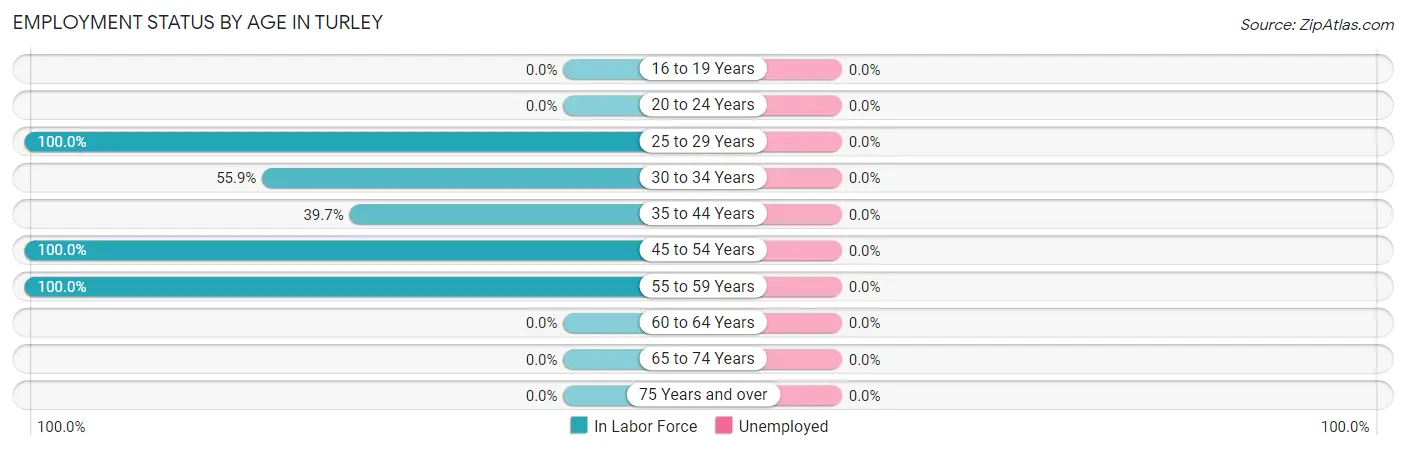 Employment Status by Age in Turley