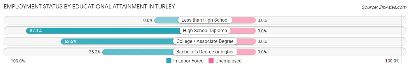 Employment Status by Educational Attainment in Turley