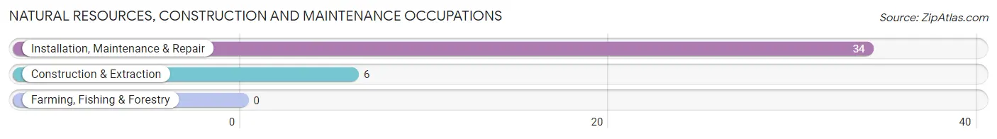 Natural Resources, Construction and Maintenance Occupations in Turley