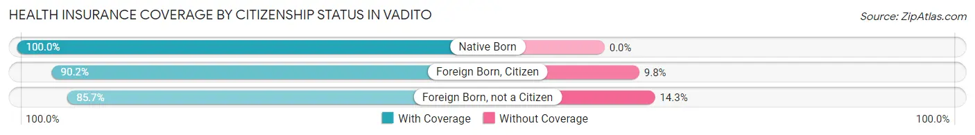 Health Insurance Coverage by Citizenship Status in Vadito