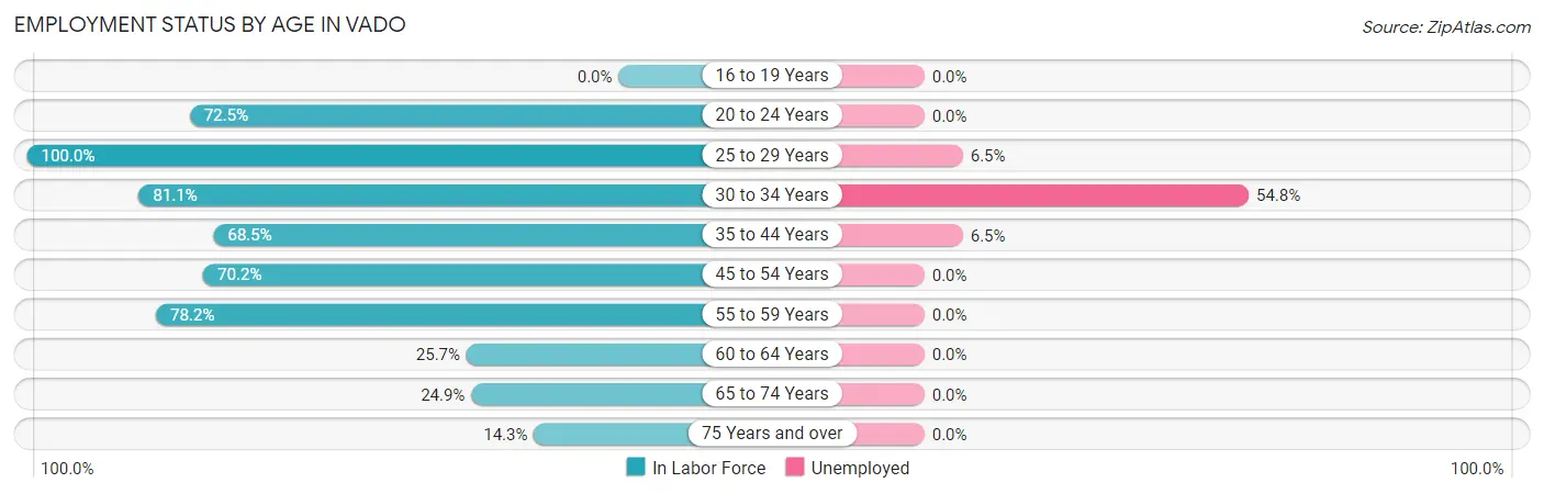 Employment Status by Age in Vado