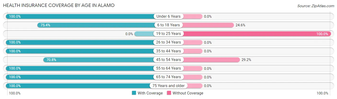 Health Insurance Coverage by Age in Alamo