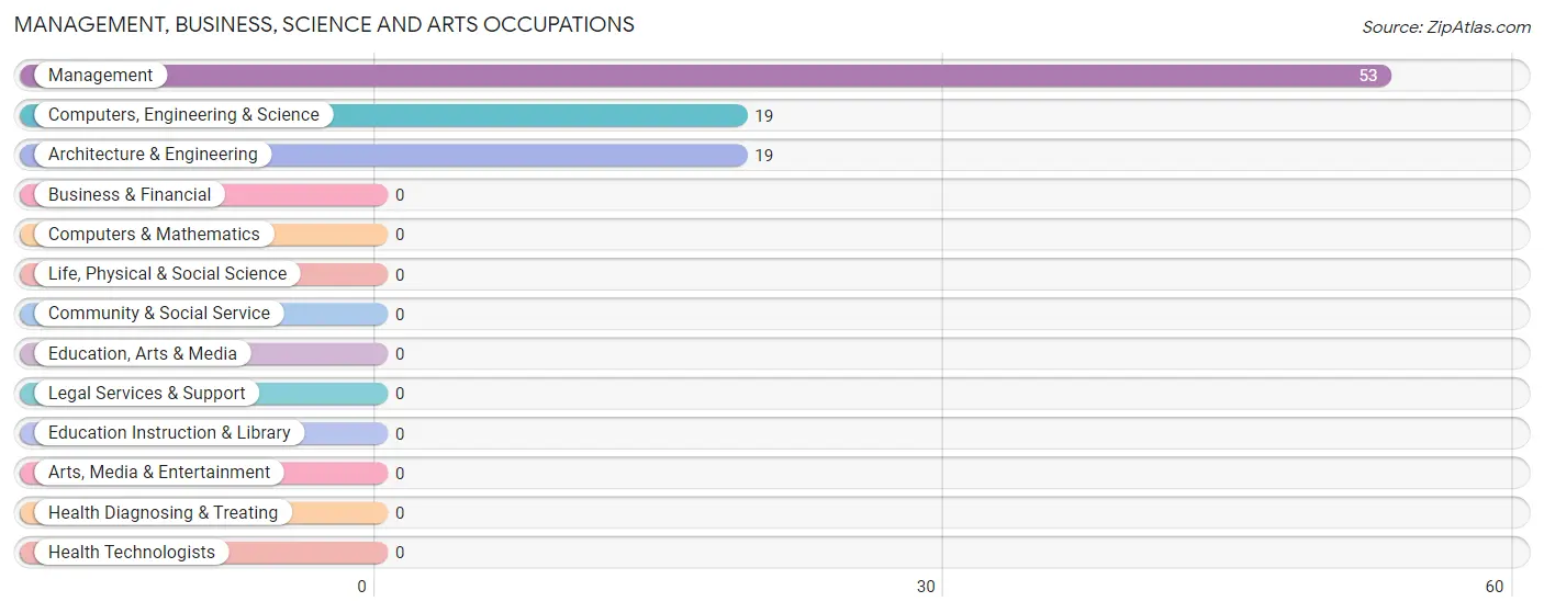 Management, Business, Science and Arts Occupations in Bunkerville