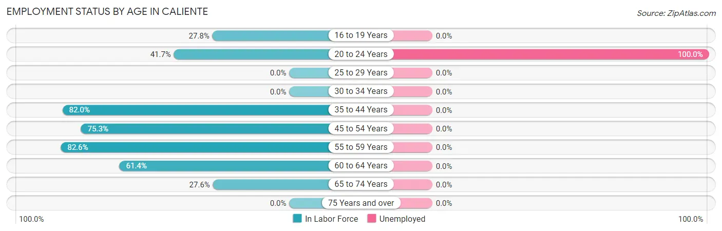 Employment Status by Age in Caliente