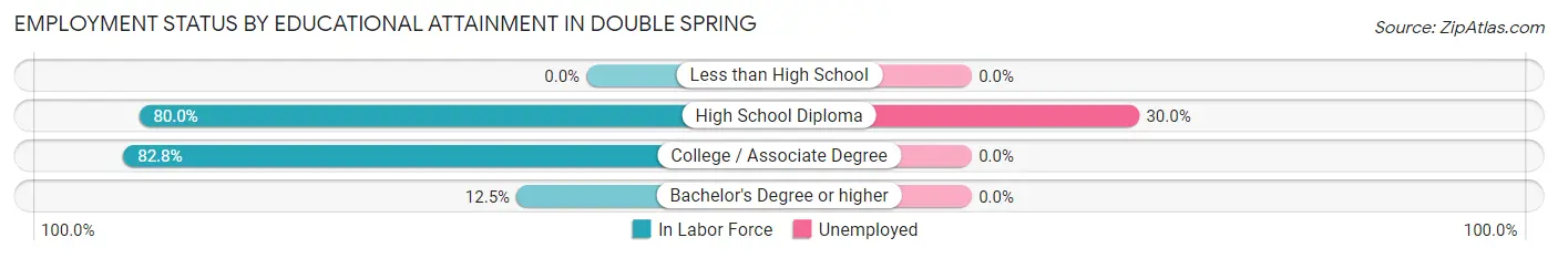 Employment Status by Educational Attainment in Double Spring