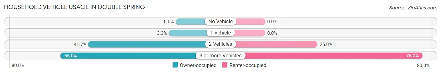 Household Vehicle Usage in Double Spring