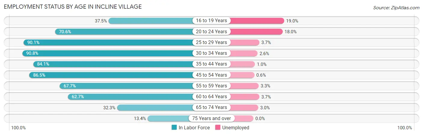Employment Status by Age in Incline Village