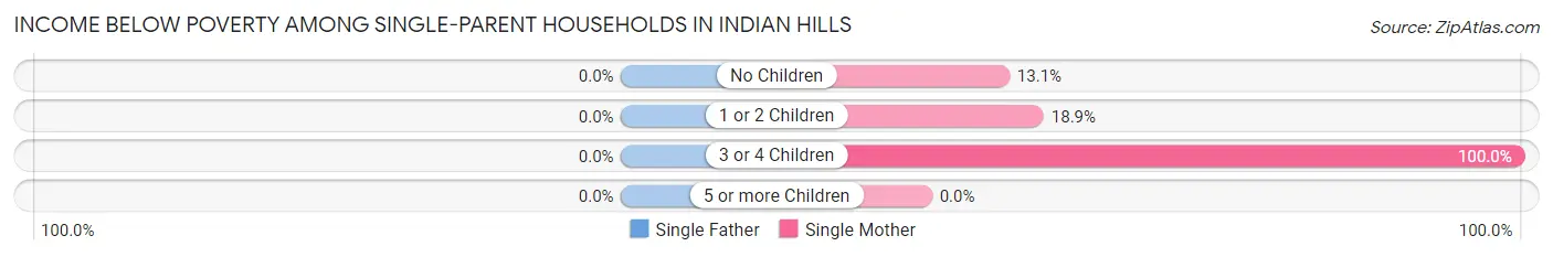 Income Below Poverty Among Single-Parent Households in Indian Hills