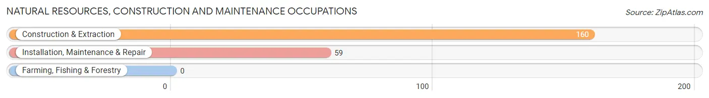 Natural Resources, Construction and Maintenance Occupations in Indian Hills