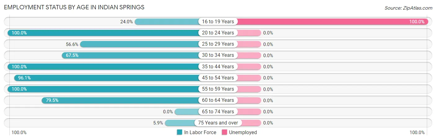 Employment Status by Age in Indian Springs