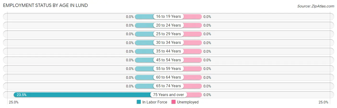 Employment Status by Age in Lund
