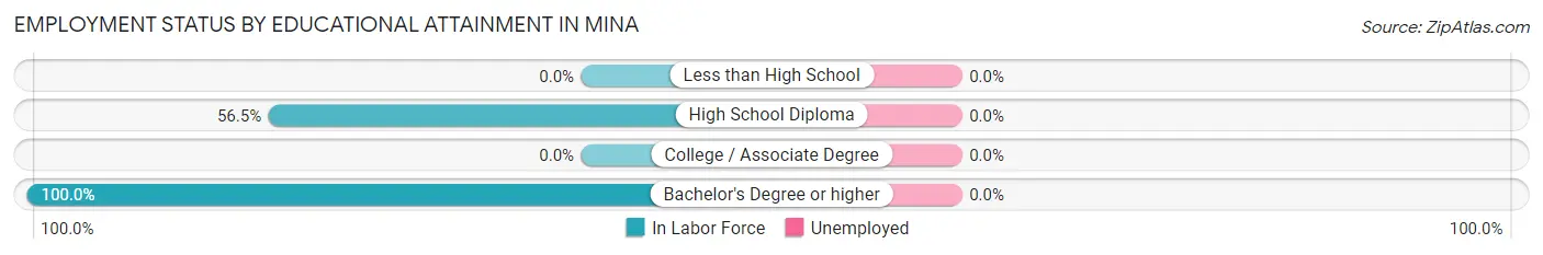 Employment Status by Educational Attainment in Mina