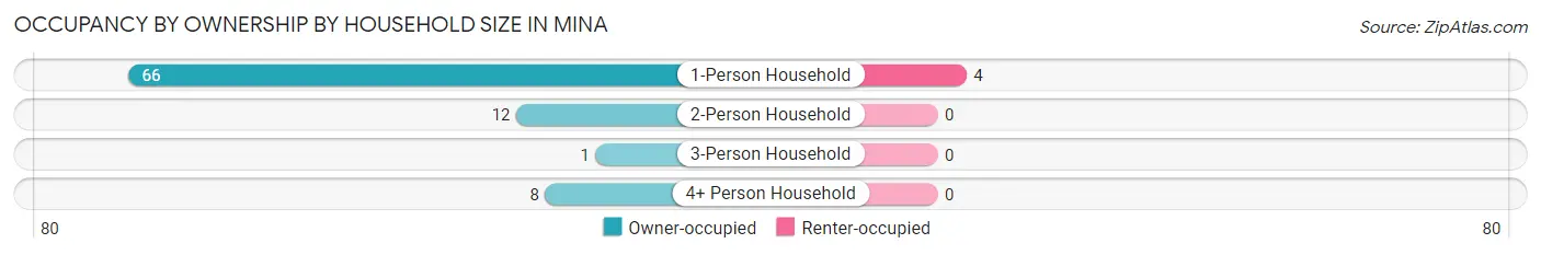 Occupancy by Ownership by Household Size in Mina