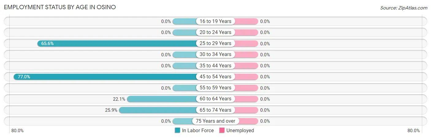 Employment Status by Age in Osino
