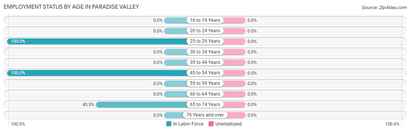 Employment Status by Age in Paradise Valley