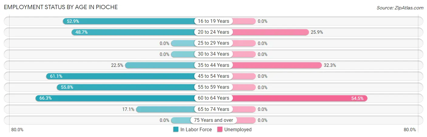Employment Status by Age in Pioche