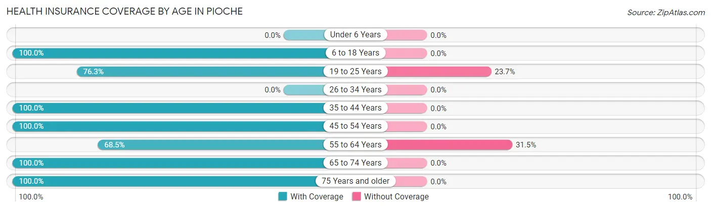 Health Insurance Coverage by Age in Pioche