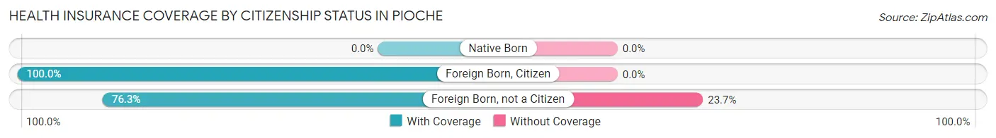 Health Insurance Coverage by Citizenship Status in Pioche