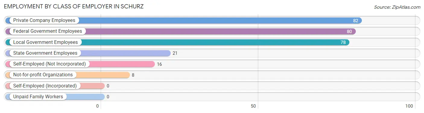 Employment by Class of Employer in Schurz