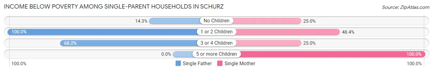 Income Below Poverty Among Single-Parent Households in Schurz