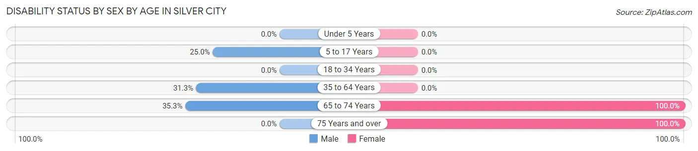 Disability Status by Sex by Age in Silver City