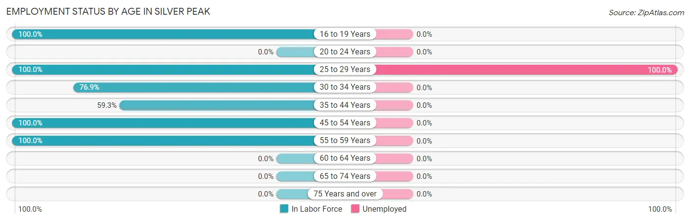 Employment Status by Age in Silver Peak