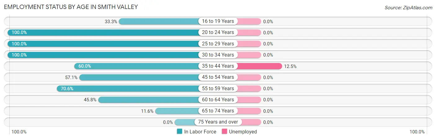 Employment Status by Age in Smith Valley