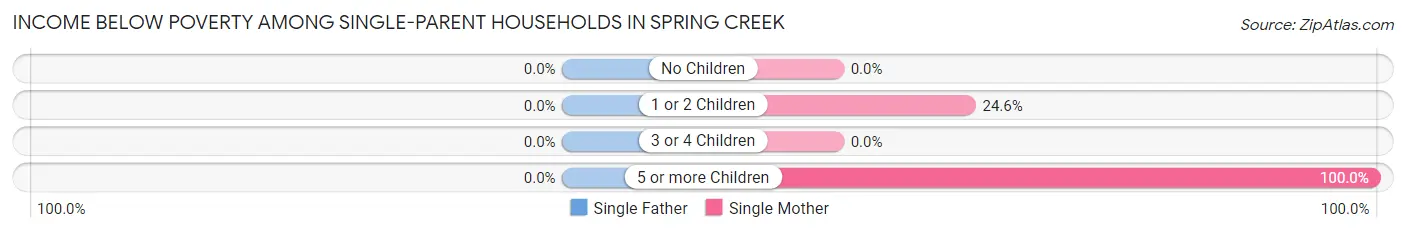 Income Below Poverty Among Single-Parent Households in Spring Creek