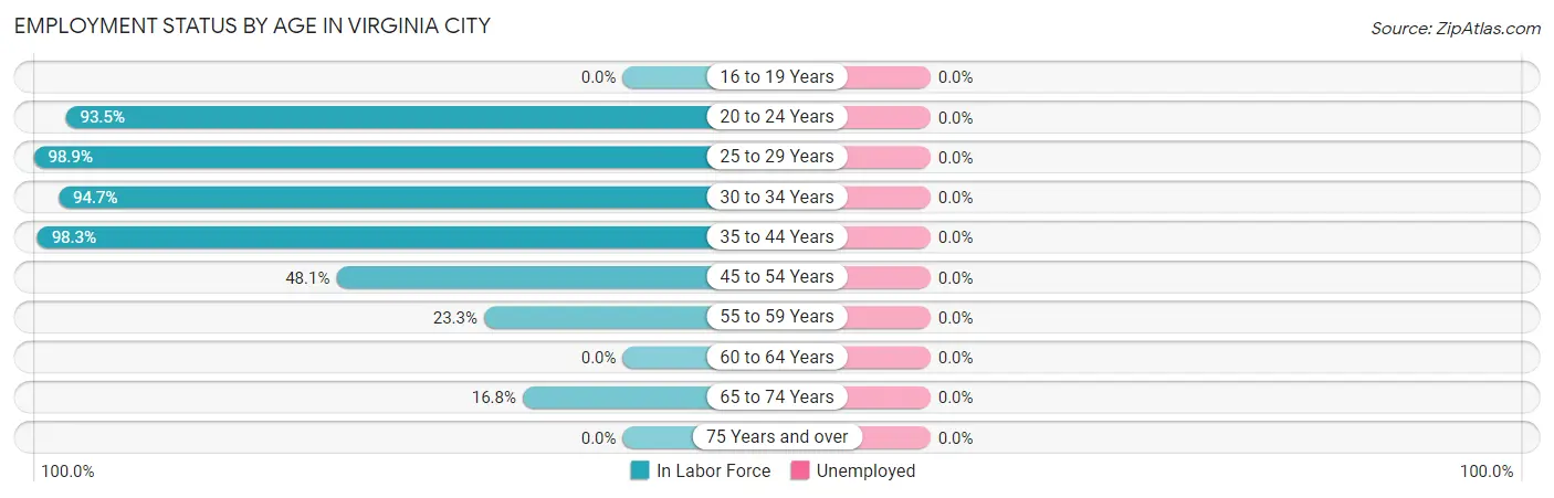 Employment Status by Age in Virginia City