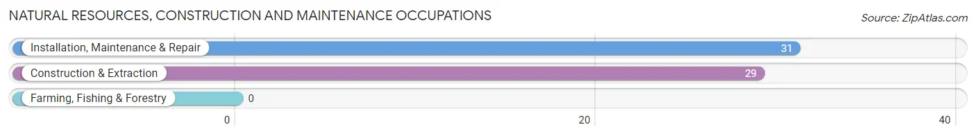 Natural Resources, Construction and Maintenance Occupations in Virginia City